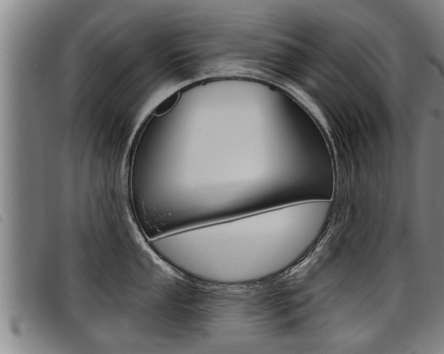 X0000098111053200804040757