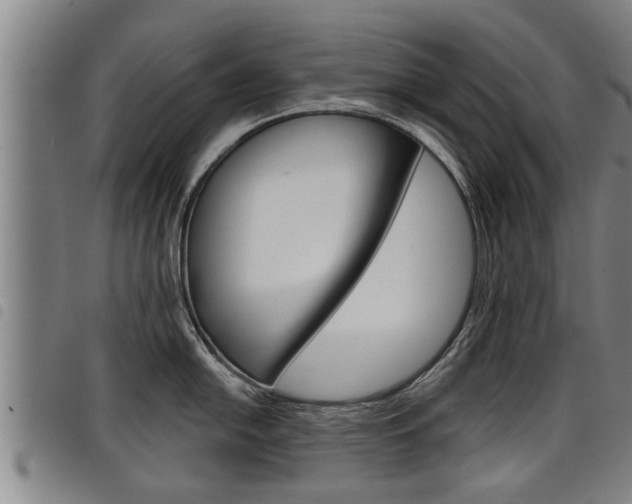 X0000098111054200804040757
