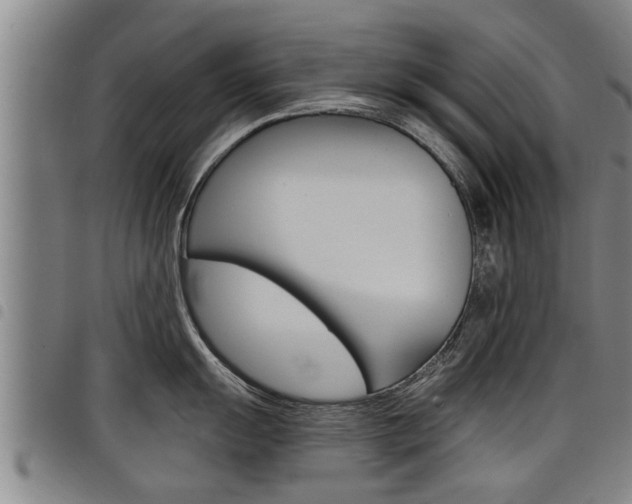 X0000098111055200804040757