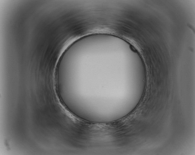 X0000098111056200804040757