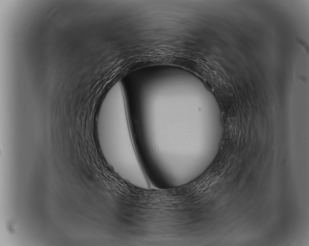 X0000098111057200804040756