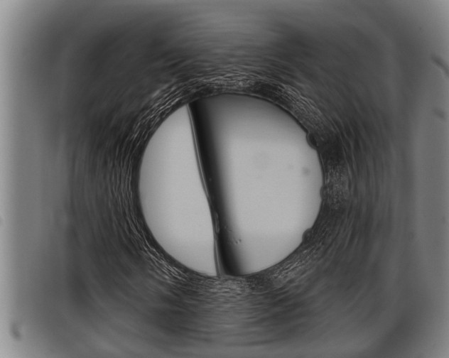 X0000098111058200804040756