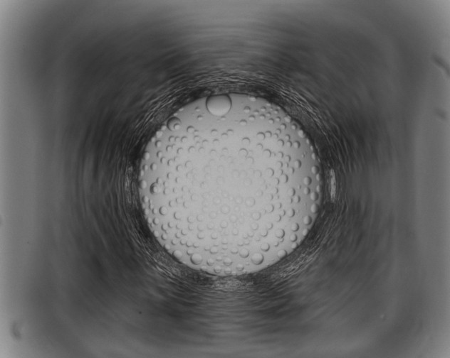 X0000098111059200804040756
