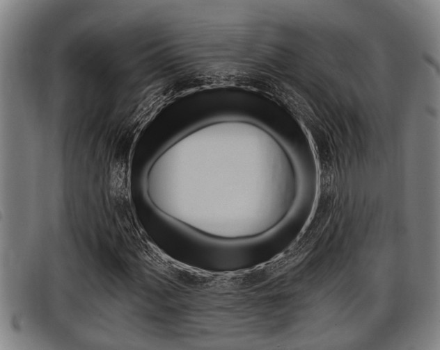 X0000098111060200804040756