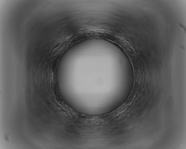 X0000098111061200804040756