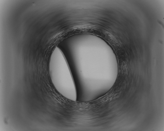 X0000098111062200804040756