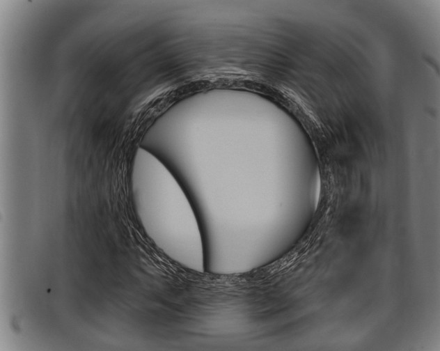 X0000098111063200804040756