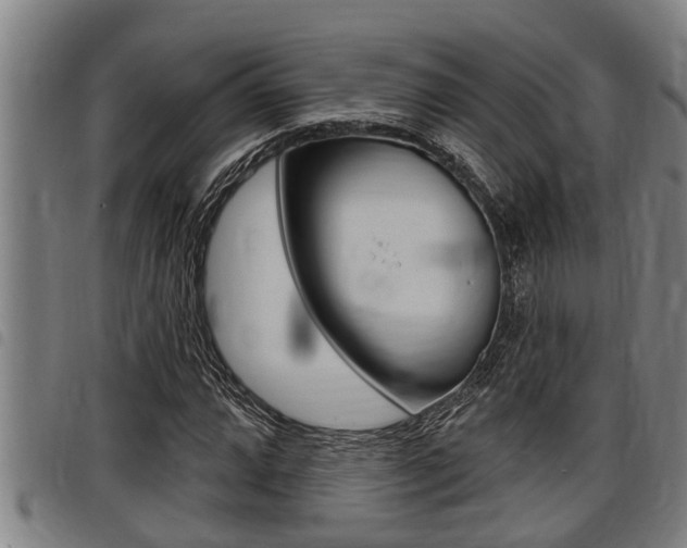 X0000098111064200804040756
