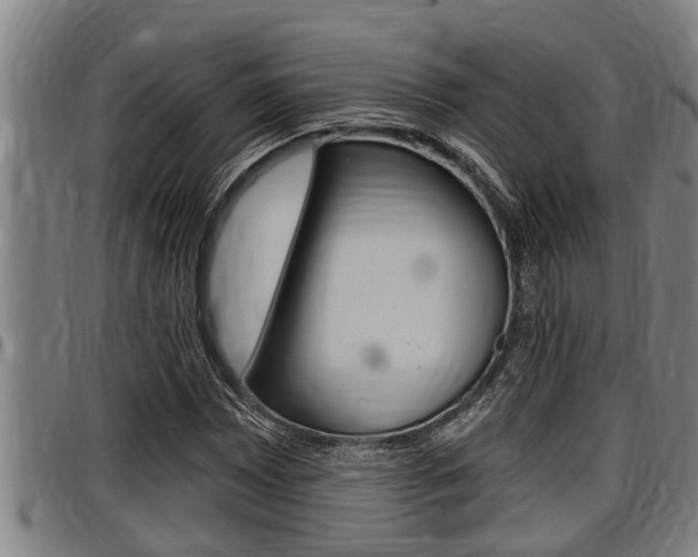 X0000098111065200804040756