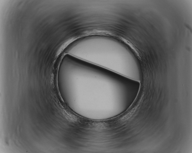 X0000098111066200804040756