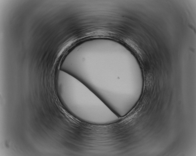 X0000098111067200804040756
