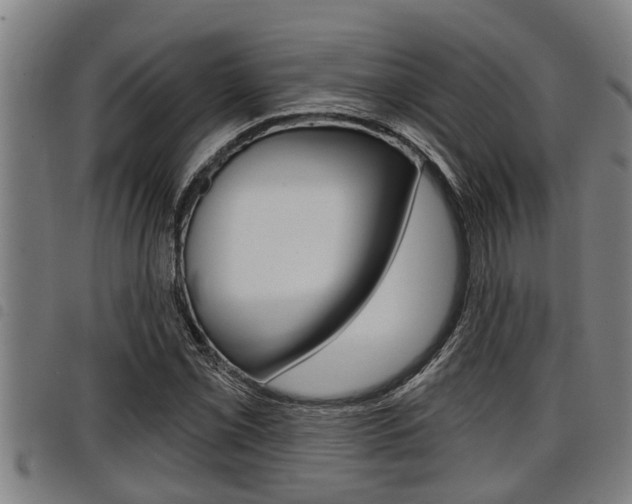 X0000098111069200804040756