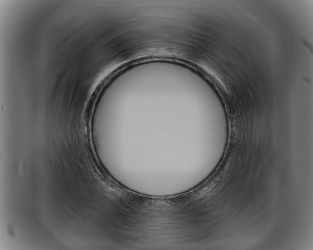 X0000098111070200804040756