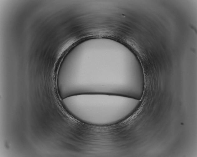 X0000098111071200804040756