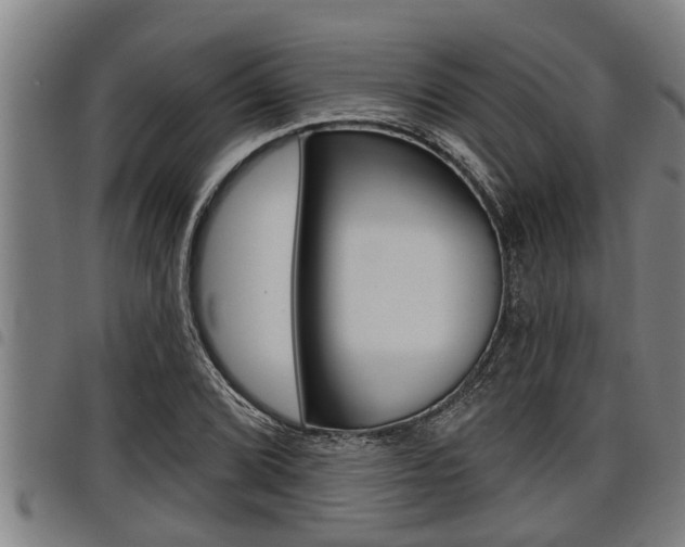 X0000098111072200804040756