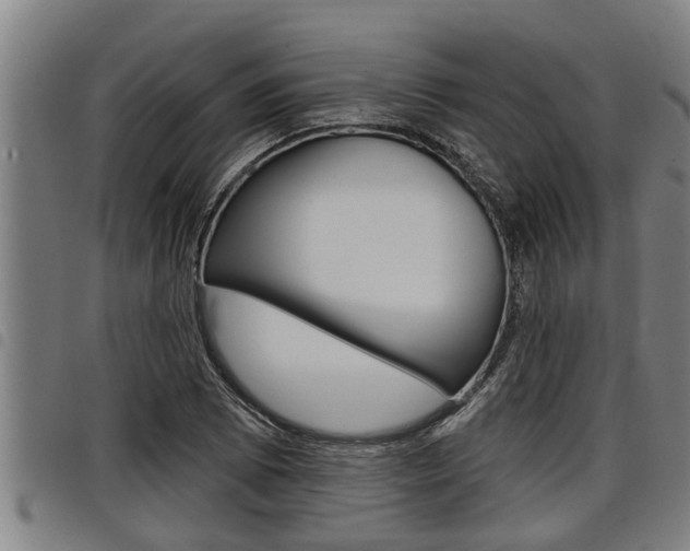 X0000098111073200804040756