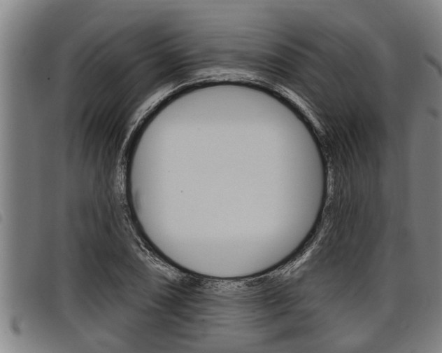 X0000098111074200804040756