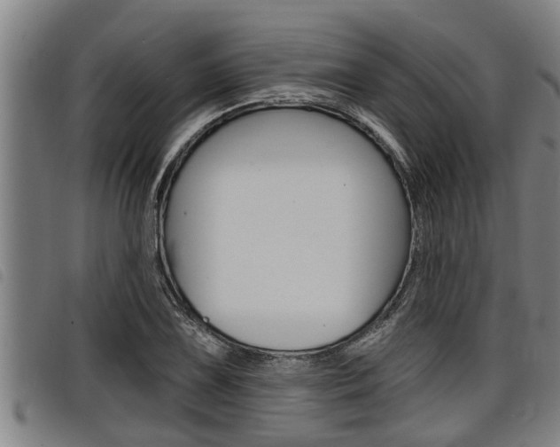 X0000098111075200804040756