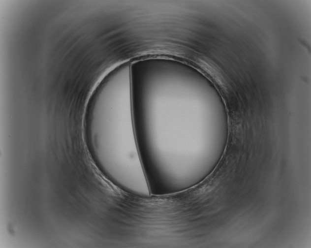 X0000098111076200804040756