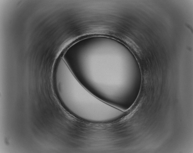 X0000098111077200804040756