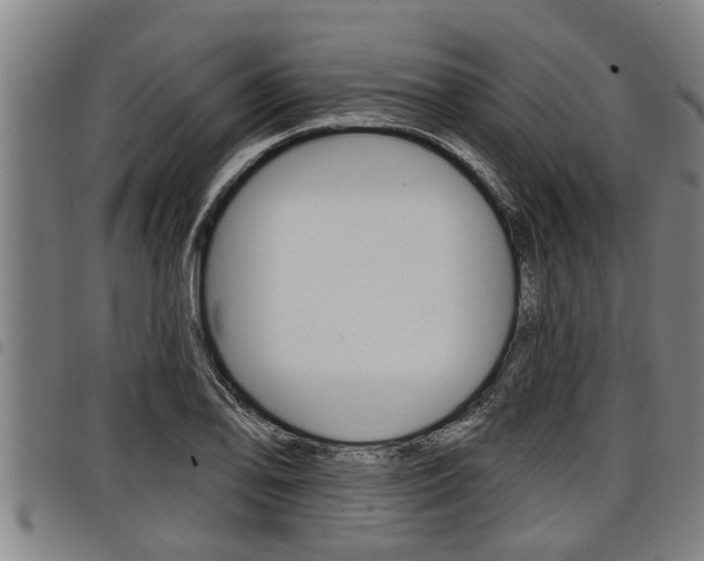 X0000098111078200804040756