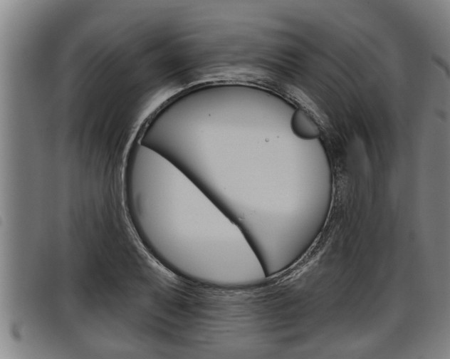 X0000098111079200804040756
