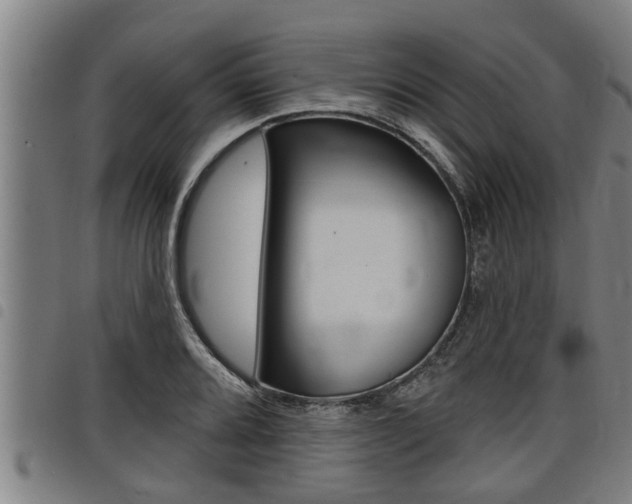 X0000098111080200804040756