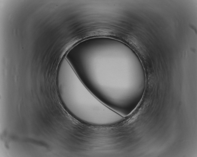 X0000098111081200804040756