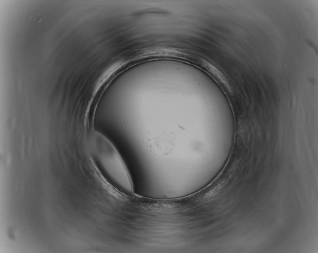 X0000098111082200804040756