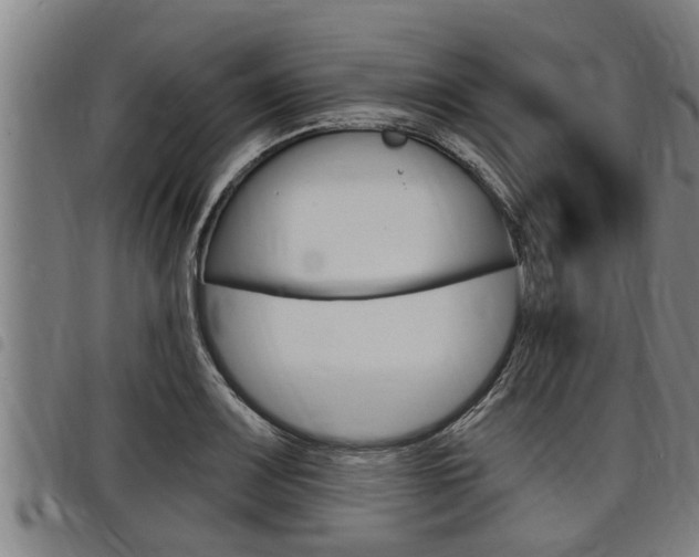 X0000098111083200804040756