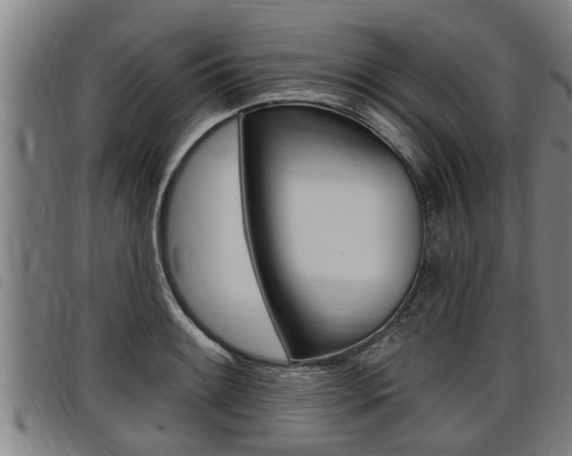 X0000098111084200804040756