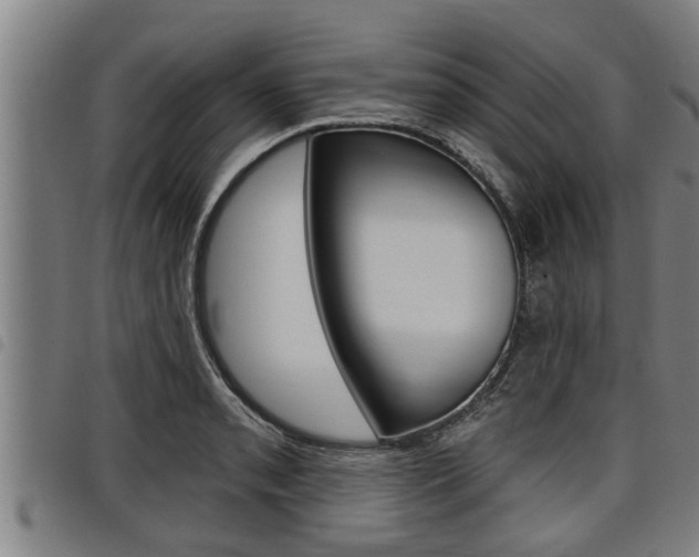 X0000098111085200804040756