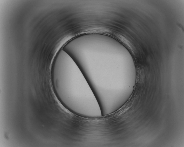 X0000098111087200804040756