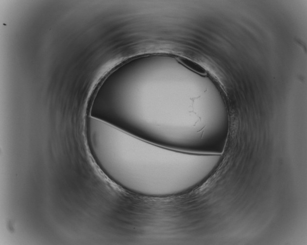 X0000098111088200804040756