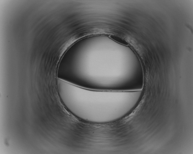 X0000098111089200804040756