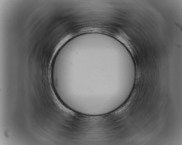 X0000098111090200804040756