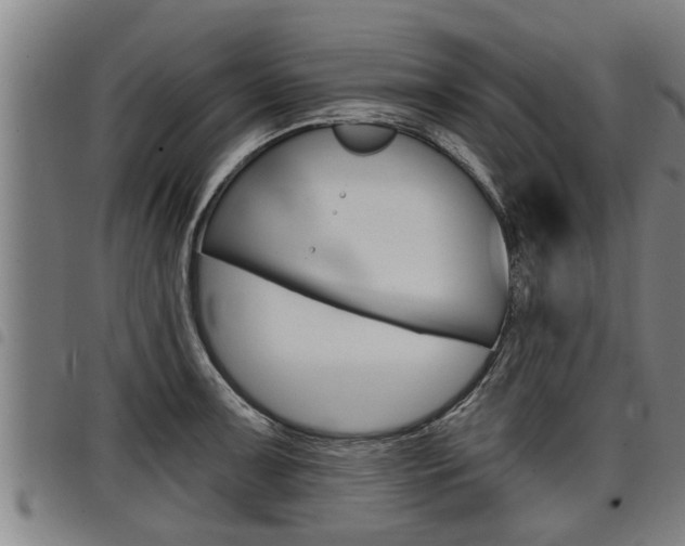 X0000098111091200804040756