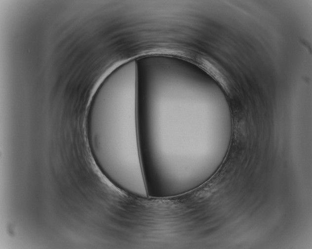 X0000098111092200804040756
