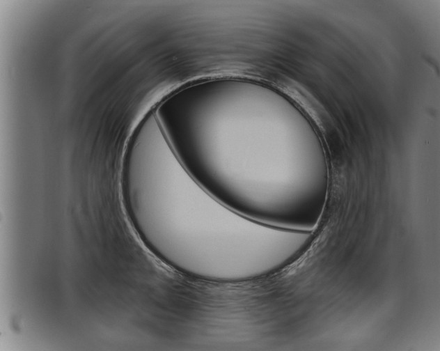 X0000098111093200804040756