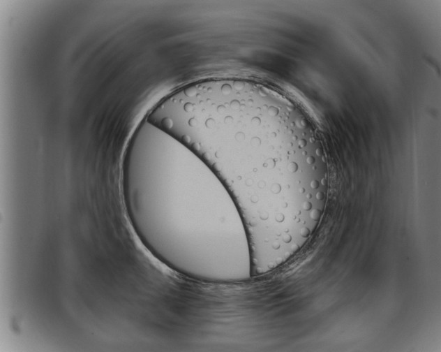 X0000098111095200804040756