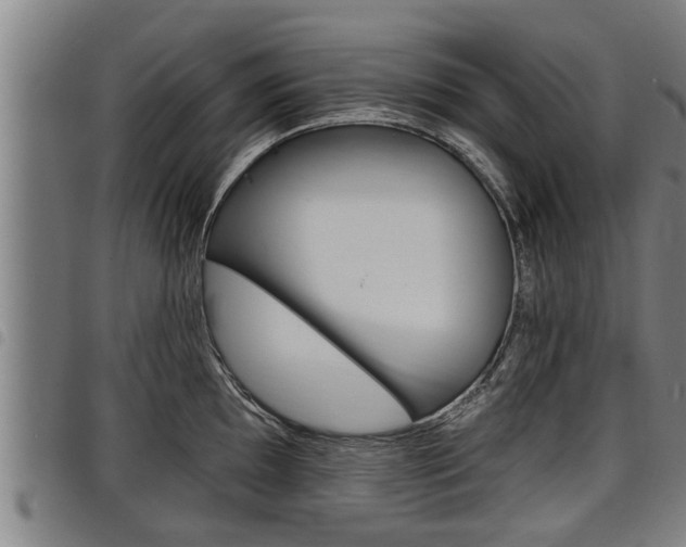 X0000098111097200804040756