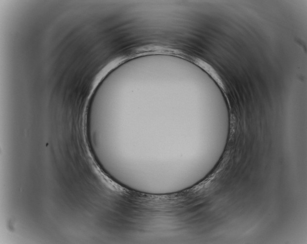 X0000098111098200804040756