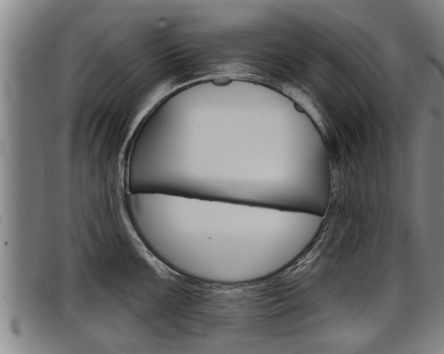 X0000098111099200804040756