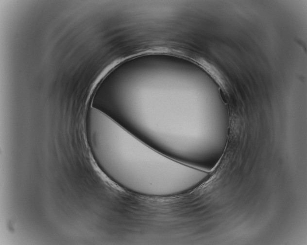X0000098111100200804040756