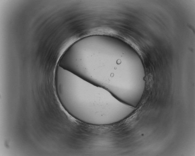 X0000098111103200804040756