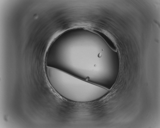 X0000098111104200804040756