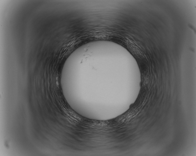 X0000098111106200804040755