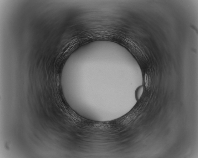 X0000098111107200804040755