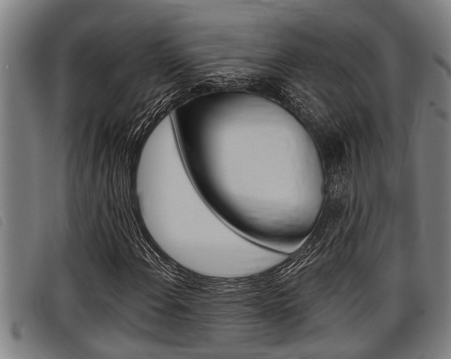 X0000098111108200804040755