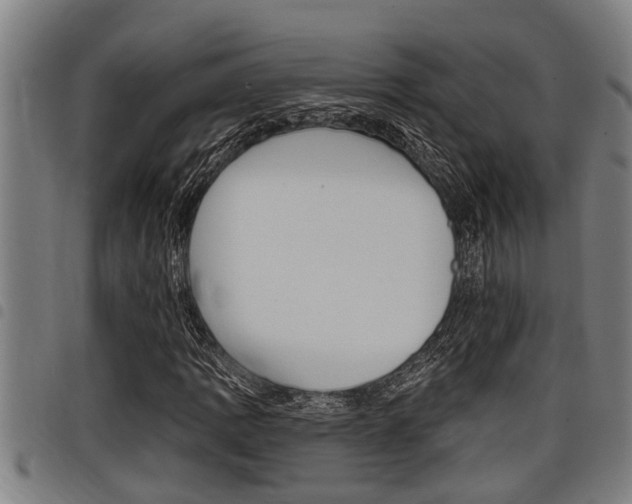 X0000098111109200804040755